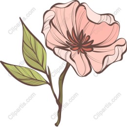 Elegant Pink Flower