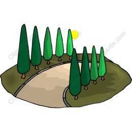 Serene Forest Path
