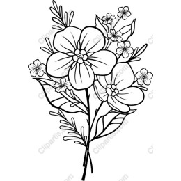 Elegant Floral