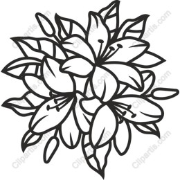 Elegant Lily Bouquet
