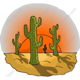 Desert Sunset Cactus