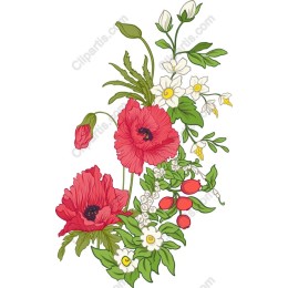 Vibrant Floral: Poppy Blossoms
