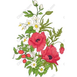 Vibrant Floral - Poppy & Flower Arrangement