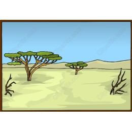 Desert Serenitywork