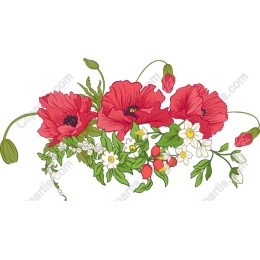 Floral Elegance: Red Poppy