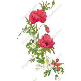 Elegant Red Poppy Floral
