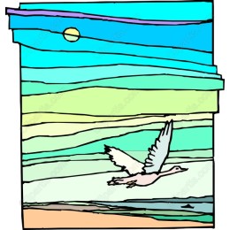 Serene Bird in Flight