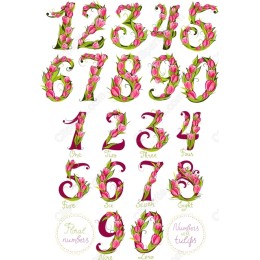 Floral Numbers Set - Tulip-Decorated Digits (0-9)