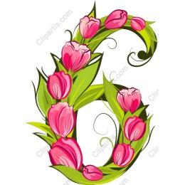 Floral Number 6