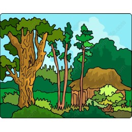 Vibrant Nature Landscape