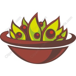 Fresh Salad