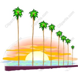 Sunset Palm Trees