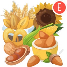 Nature's Bounty - Wheat, Sunflower, and Nuts