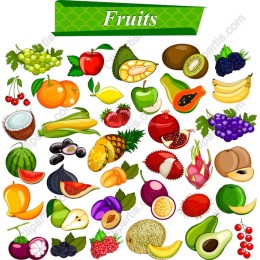 Vibrant Fruits Collection