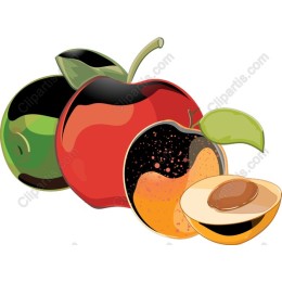 Fruit Fusion