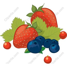 Fruity Delight - Strawberries and Blueberries
