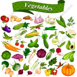 Vegetable Collection
