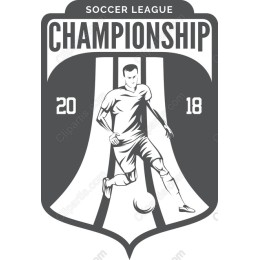 Dynamic Soccer Championship