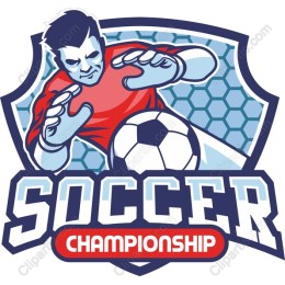 Dynamic Soccer Championship
