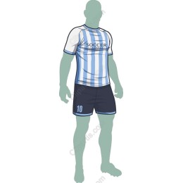 Professional Soccer Player