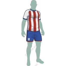Dynamic Soccer Player