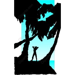 Tropical Adventure