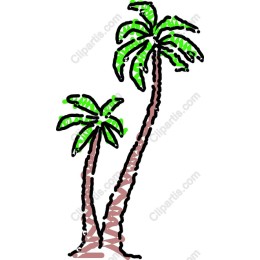 Tropical Palm Tree