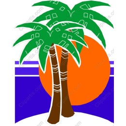 Tropical Sunset Palm Treeswork