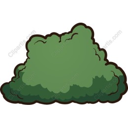 Eco-Friendly Green Bush