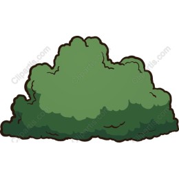 Green Bush