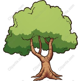 Lush Green Tree