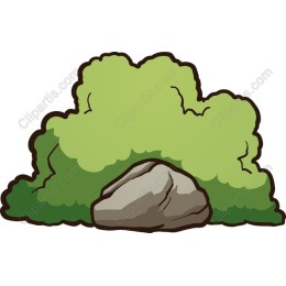 Lush Green Shrub with Rock