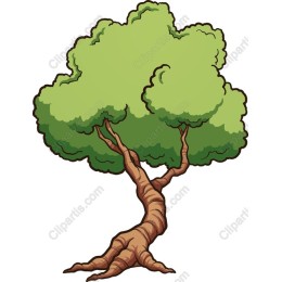 Lush Green Tree