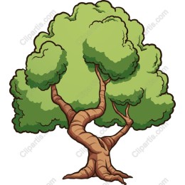 Lush Green Tree