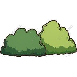 Lush Green Bush