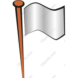 Sleek Silver Flag