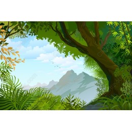 Lush Forest Landscape