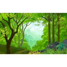 Lush Green Forest
