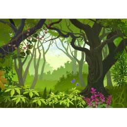 Forest Serenity