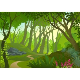 Lush Forest Path