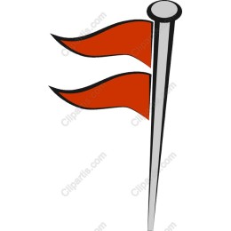 Vibrant Dual Flag