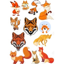 Fox Bundle - Whimsical Fox