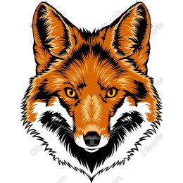 Vivid Fox Head