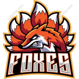 Fierce Foxes