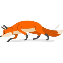 Playful Fox