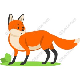 Playful Fox