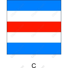 Vibrant Flag