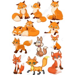 Fox Set - Adorable Bundle