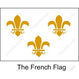 The French Flag