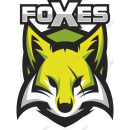 Vibrant Fox in and